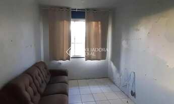 Imagem 4: Apartamento incrível em Vila Nova, Porto Alegre