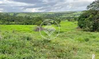 Imagem: Fazenda a 5 km de Ivolândia-GO 23 Alqueires