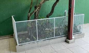 Imagem 7: Casa para investidores