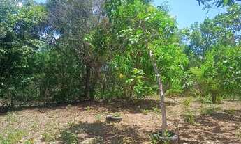 Imagem 4: Chácara para lazer no professor Jamil 2.860mt com Rio no fundo