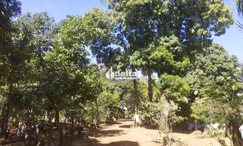 Imagem 2: Chácara disponível para venda na Zona Rural de Uberlândia em Uberlândia-MG