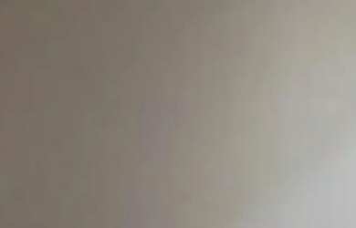 Imagem 7: Casa linda Casa com 2 dormitórios