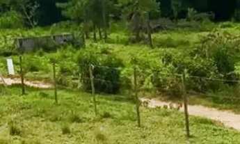 Imagem: 86E- LOTES PROMOCIONAIS COM VISTA EM IGARATÁ