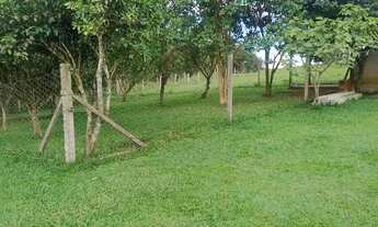 Imagem 6: Chácara no interior de campo largo ,1 alqueire