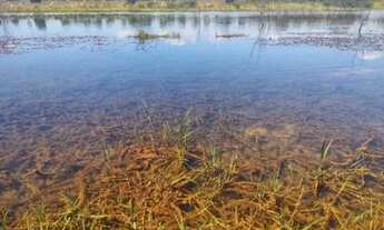Imagem: Chácara 1.000 Metros Fundo Para A Represa