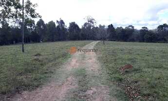 Imagem 4: Areá de 13 HE PRÓXIMO A PONTE DO RETIRO