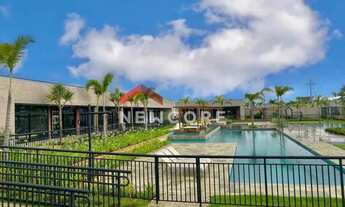 Imagem 4: Lote em condomínio em Estrada Municipal Adelina Segantini Cerqueira Leite - Chácara São Ra