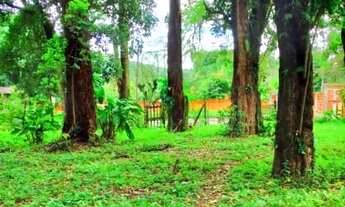 Imagem 6: Vendo essa chácara com 8 mil metros quadrados com águas da serra do mendanha
