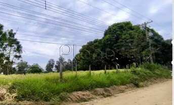 Imagem: Chácara à venda em Campinas, Chácara