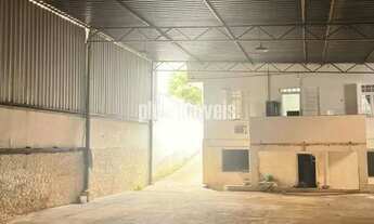 Imagem 4: PERDIZES - comercial