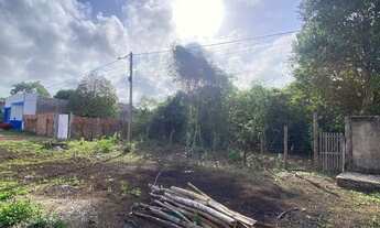 Imagem 3: Terreno em Morros Ma