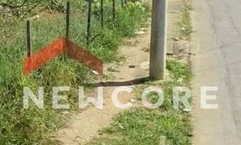 Imagem 4: Lote em Rua Tulipa - Piracangaguá - Taubaté/SP