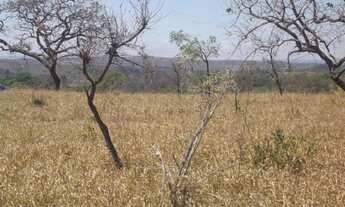 Imagem 3: Área de 20.000 m² toda plana com uma casa simples cercada. WhTSApp * Guilherme