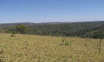 Imagem 2: Área de 20.000 m² toda plana com uma casa simples cercada. WhTSApp * Guilherme