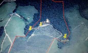 Imagem 2: Sitio em Pinhalão com 2 alqueires