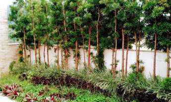 Imagem 7: Cobertura com 2 quartos sendo 1 suíte e 2 vagas de garagem para VENDA no bairro Itacorubi