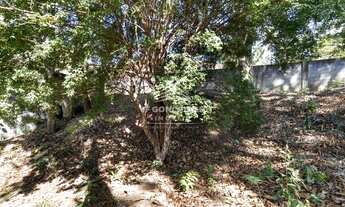 Imagem: Lote em condomínio à venda, Ipê - NOVA