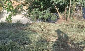 Imagem 5: Vendo no bairro Vila Esportiva