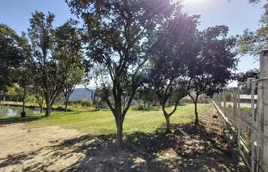 Imagem 3: Sitio com uma Bela Casa em São Francisco de Paula na Localidade da Recosta