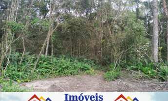 Imagem 4: Vendo lote na Praia do Ervino