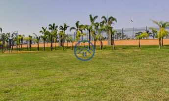 Imagem 4: HORTOLÂNDIA - Loteamento/Condomínio - Parque Olívio Franceschini