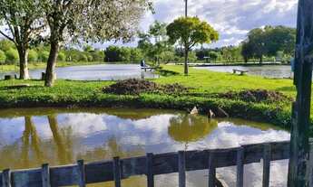 Imagem 4: Vendo Área de Terras em Parobé pra vc Investidor e Empreendedor na Piscicultura