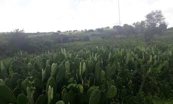 Imagem: Fazenda com 137 hectares a um km centro