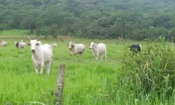 Imagem 2: Fazenda Fazenda / sítio com venda por R$1.500.000