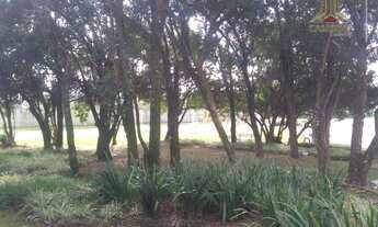 Imagem 4: Terreno de frente ao lago no Ilhas Park em Eldorado do Sul