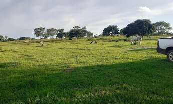 Imagem: Fazenda - Venda 80 KM da capital, 60 km