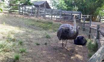 Imagem 6: CASA RESIDENCIAL em JUNDIAÍ - SP, JARDIM ERMIDA I