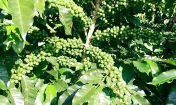 Imagem 4: ?Vendo Sítio Vila Valério?