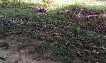 Imagem 3: Vendo 2 linhas de terra