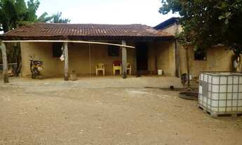 Imagem 4: Fazenda 61 Alqueires no mun Padre Bernardo terra apropriada para gado