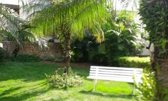 Imagem 3: 3 Dormitórios e 1 suíte no Bela Vista Osasco