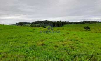 Imagem 5: Fazenda, Centro, São Sebastião do Passe - R$ 2.72 mi, Cod: 68599