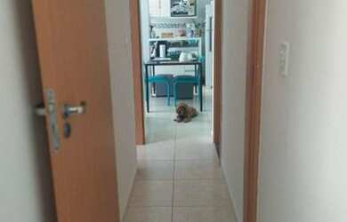 Imagem 5: Lindo Apartamento Térreo em Colina de Laranjeiras!