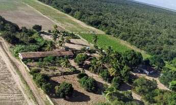 Imagem 6: Granja toda plana com seis hectares