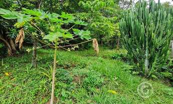Imagem 3: Lote/Terreno para venda com 550 metros quadrados em Pantanal - Florianópolis - SC