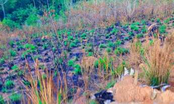 Imagem 4: Está disponível em Nazaré Paulista!!