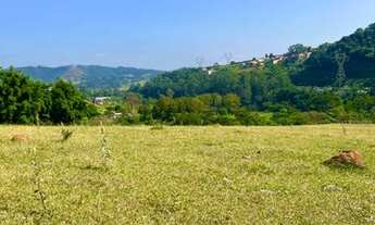 Imagem 6: R12-Lotes 100% plainos