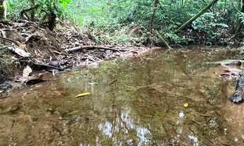 Imagem: Sítio de 2 hectares