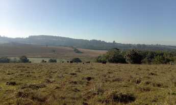 Imagem 3: Terreno de 30hc ao lado do Prado e Verdes Campos