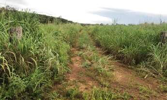 Imagem 5: Fazenda de 10.416 ha em Paratininga-MT