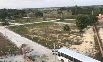 Imagem 2: Terrenos e lotes