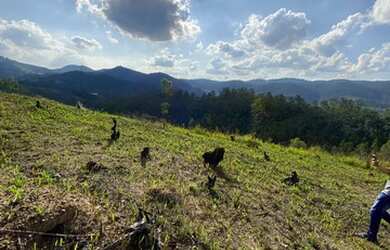 Imagem 3: Tk Conquiste o seu lote em Mairiporã!