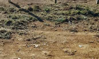 Imagem 2: Terreno no mujui