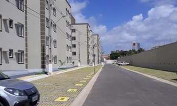 Imagem 3: Vendo Excelente Apartamento na Cohama - 3 Dormitórios Sendo 1 Suíte - Nascente - Ventilado