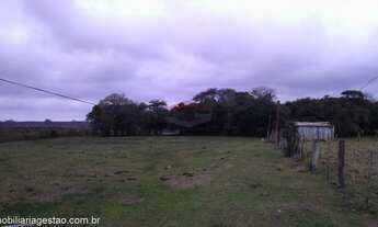 Imagem 3: Área de Terra com 2 Dormitorio(s) localizado(a) no bairro Centro em Pólo Petroquímico de