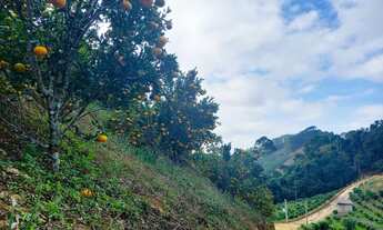 Imagem 4: Sítio em Domingos Martins com Pomar